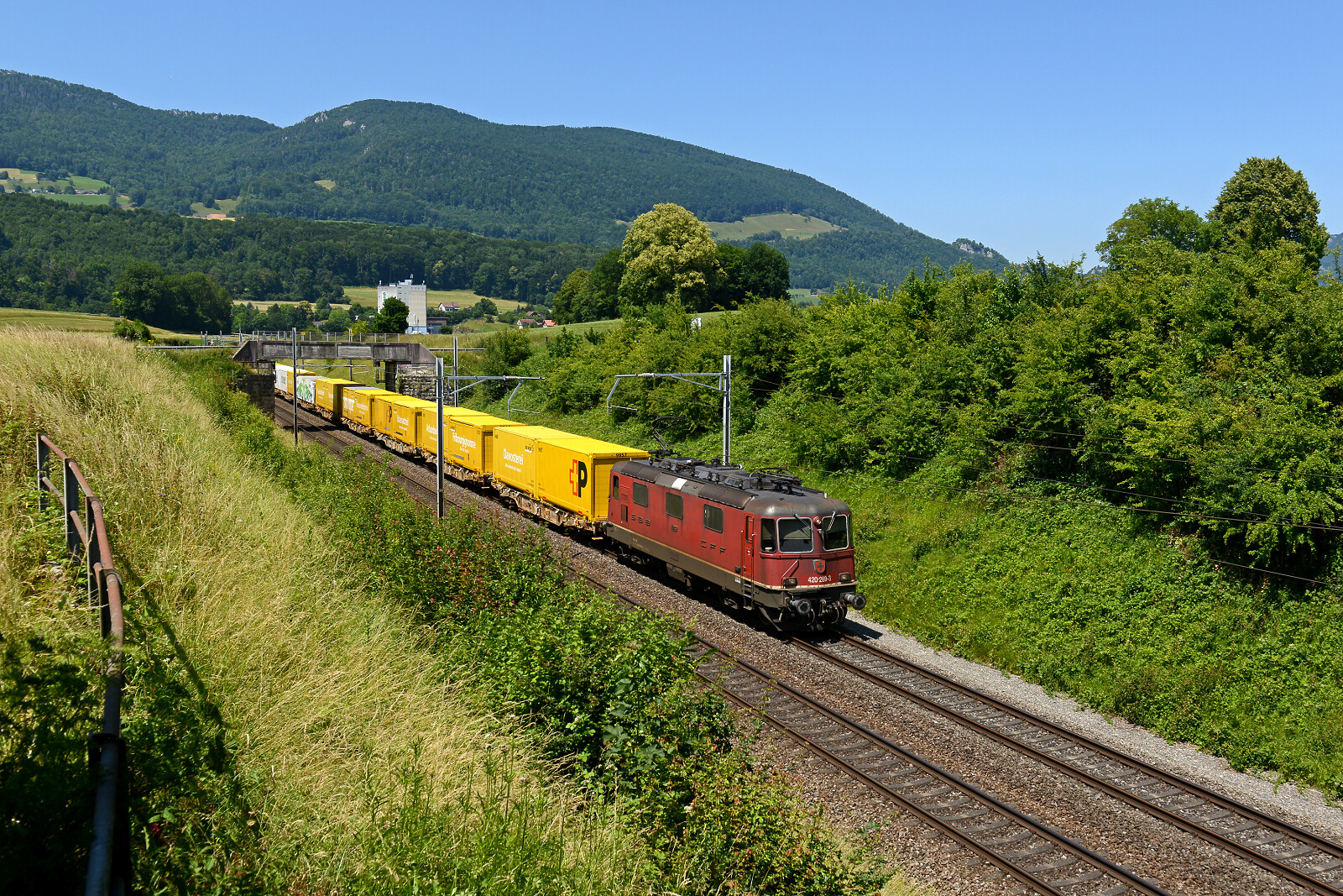 Re 420 269 of SBB (Schweizerische Bundesbahnen) between Niederbipp and Wangen an der Aare, Switzerland